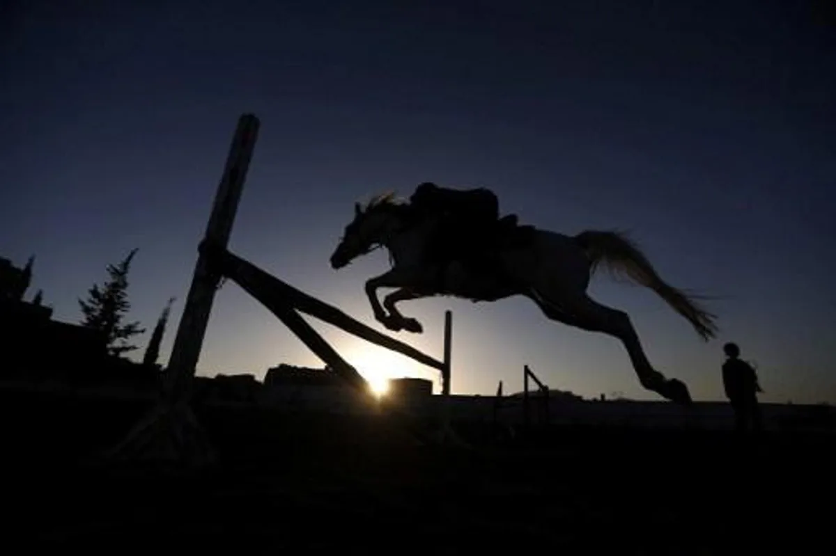 A Yemeni boy competes in the National Horse Jumping Championships in Sanaa on January 9, 2017.
Mohammed HUWAIS / AFP