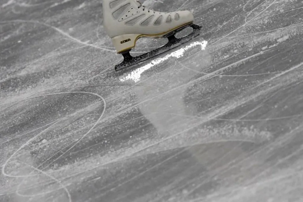 Switzerland's Alexia Paganini competes in the women's single skating short program of the figure skating event during the Pyeongchang 2018 Winter Olympic Games at the Gangneung Ice Arena in Gangneung on February 21, 2018. Kirill KUDRYAVTSEV / AFP