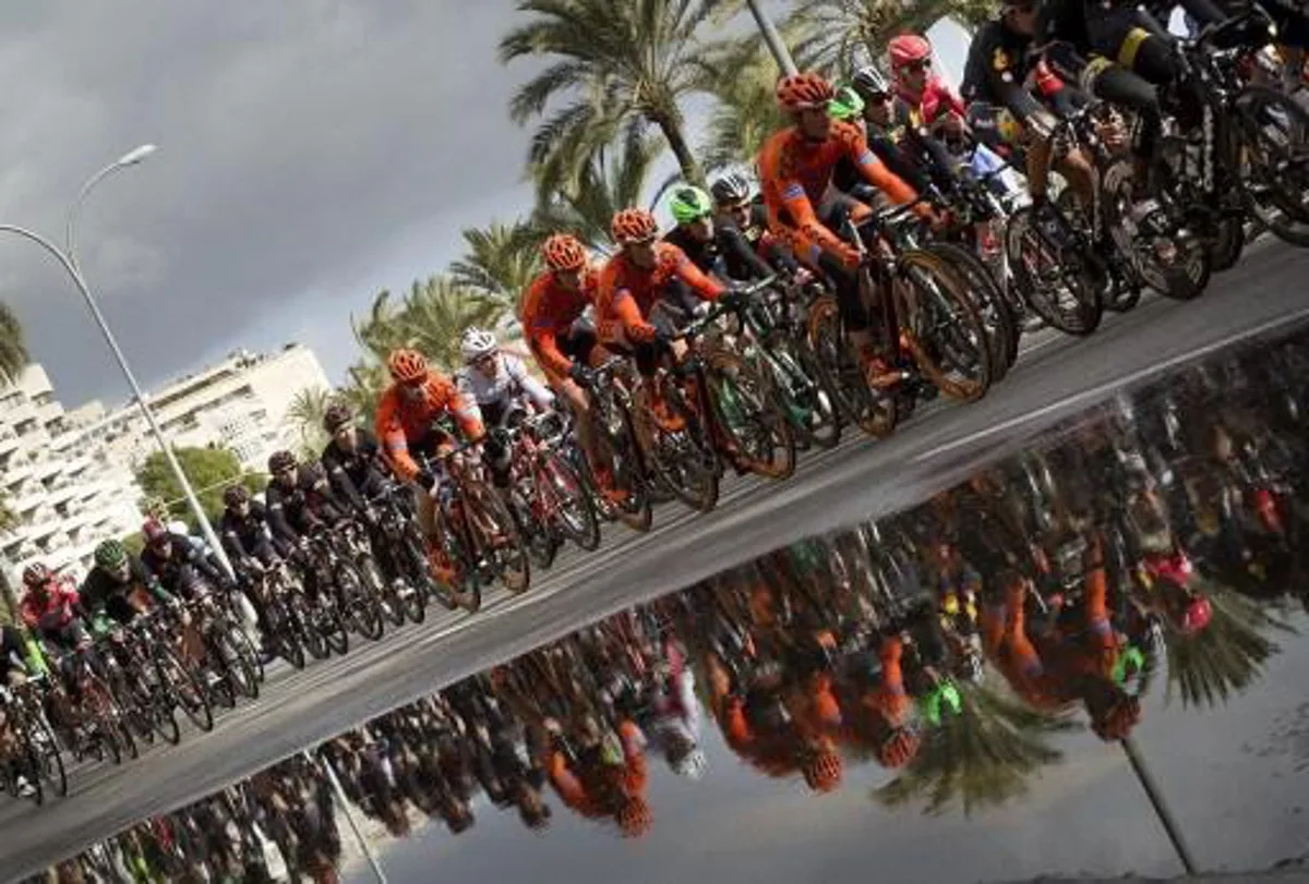 The pack ride during the last stage of the 24th Mallorca Challenge, a 168,2 Km ride from Playa de Palma to Palma de Mallorca, on February 1, 2015. AFP PHOTO/ JAIME REINA