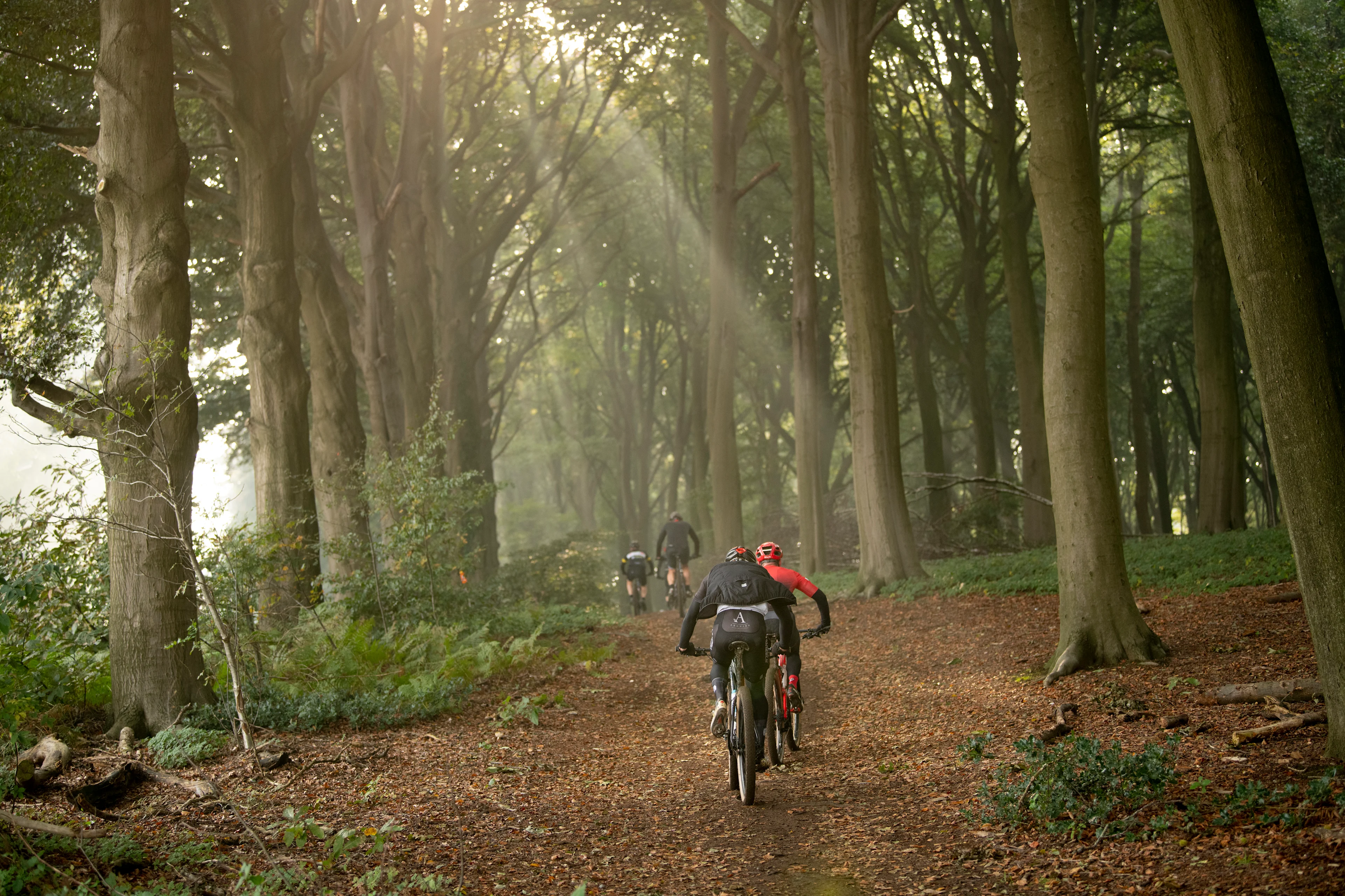 illustration picture the Ronde van Vlaanderen Off-Road mountainbike and gravelbike event for amateurs, Sunday 10 October 2021, in Kluisbergen. BELGA PHOTO CHRISTOPHE KETELS