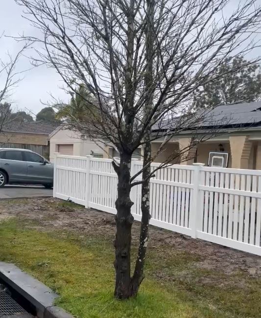 Bateau Bay PVC Fencing Projects: Settler and Castle Fence Installations