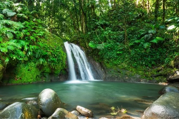 cascades aux ecrevisses