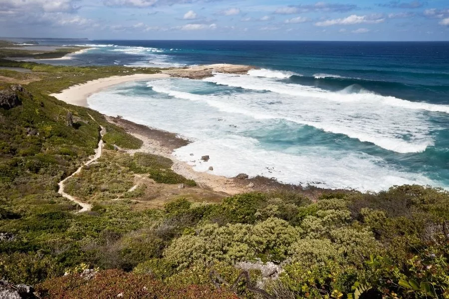 5 meilleurs spots de surf 