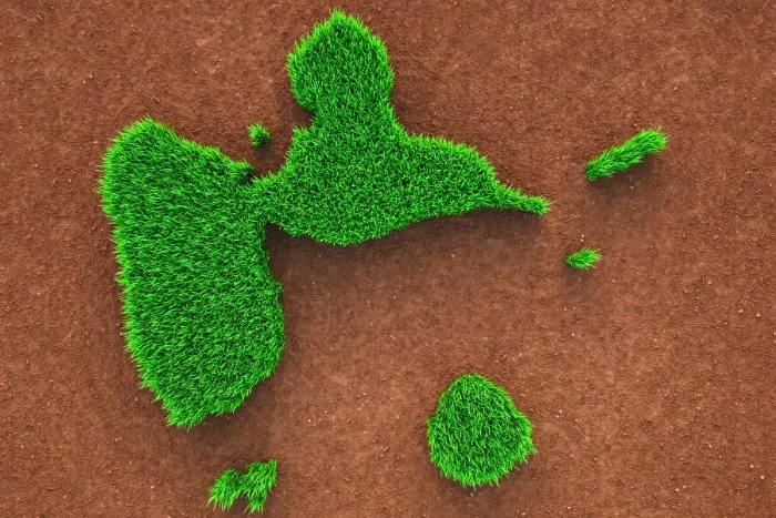 forme ile guadeloupe