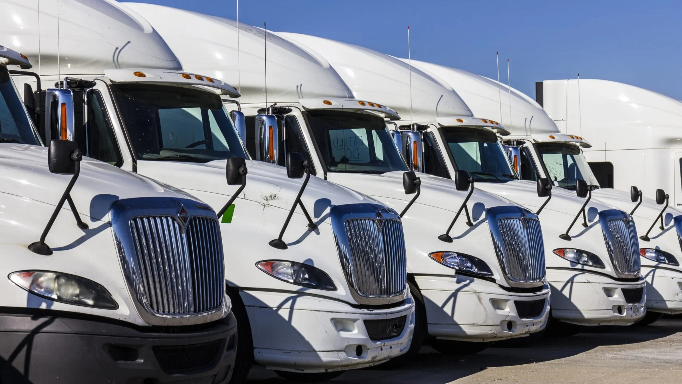 White trucks in a row.