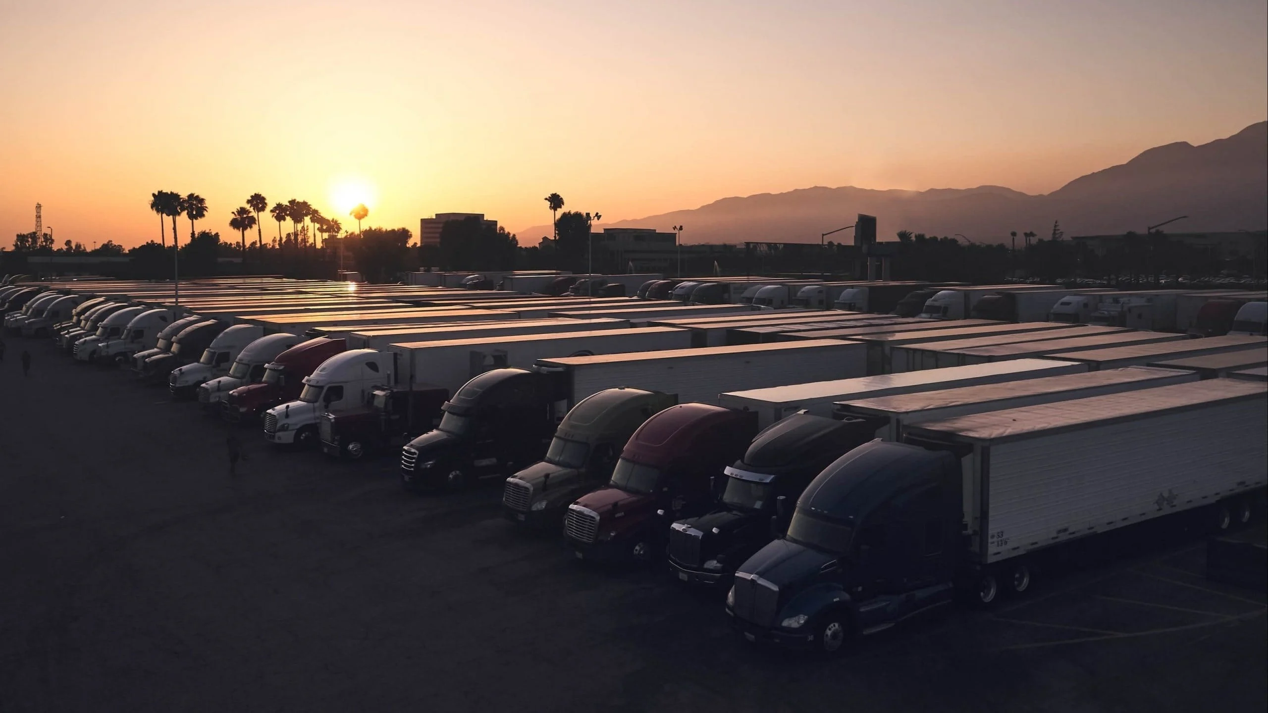 Trucks parked in a row at sunset