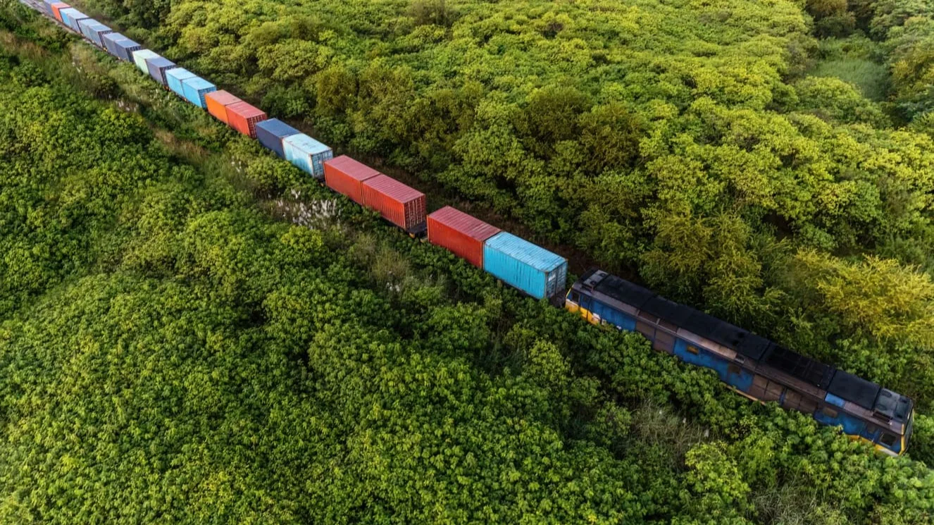 Aerial view of train through trees