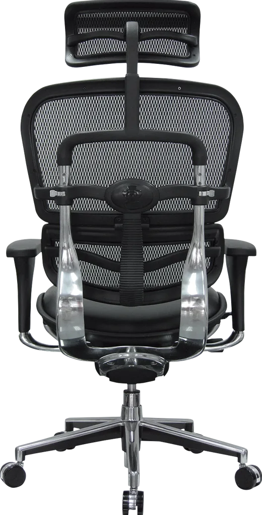 Ergohuman High Leather Seat And Mesh Back Eurotech 