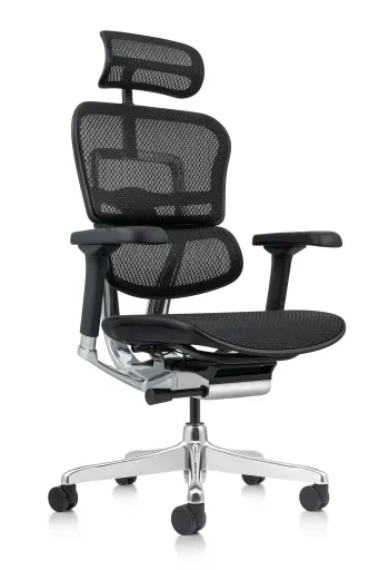 Raynor Ergohuman Chair Replacement Leather Seat for LE9ERG and LE10ERGLO