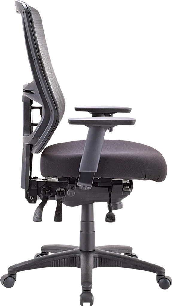 Apollo Office Chair, 4D Armrests, 2D Headrest, Adjustable Lumbar