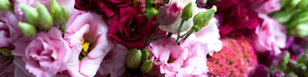 PLP - Catalog view - Cut Flowers Banner.jpg