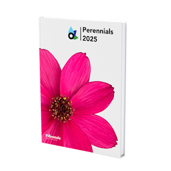 Annuals | Florensis