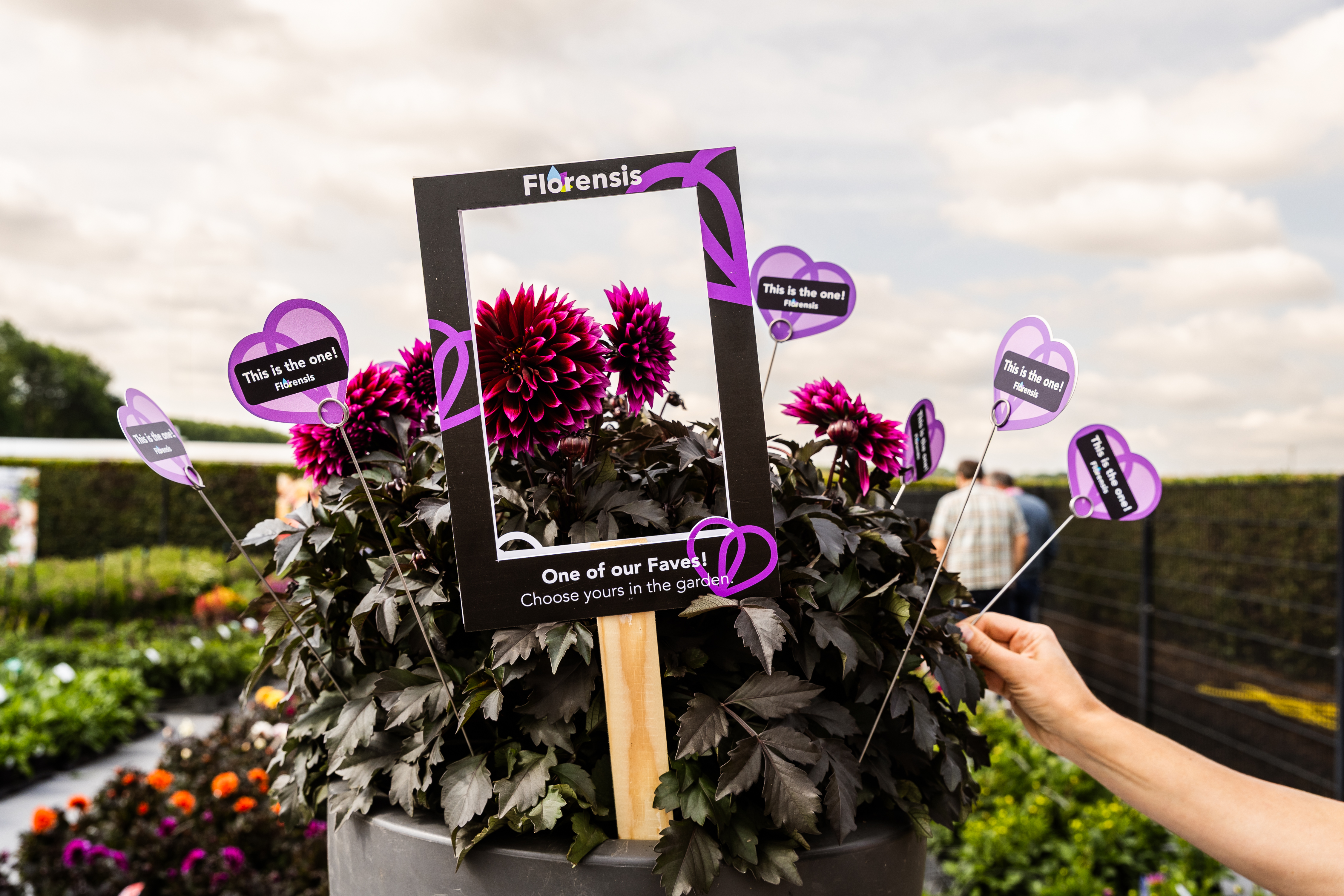 PRINTFlorensisFlowerTrials2025
