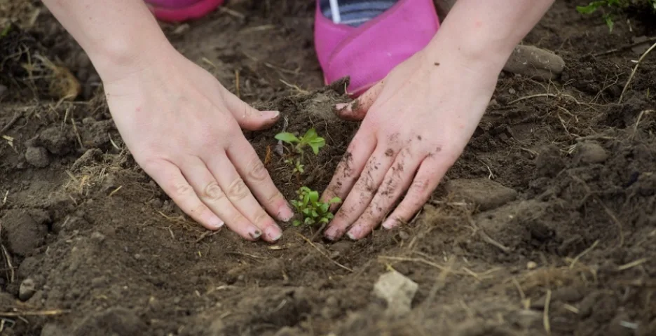 Rewards Image for WWF