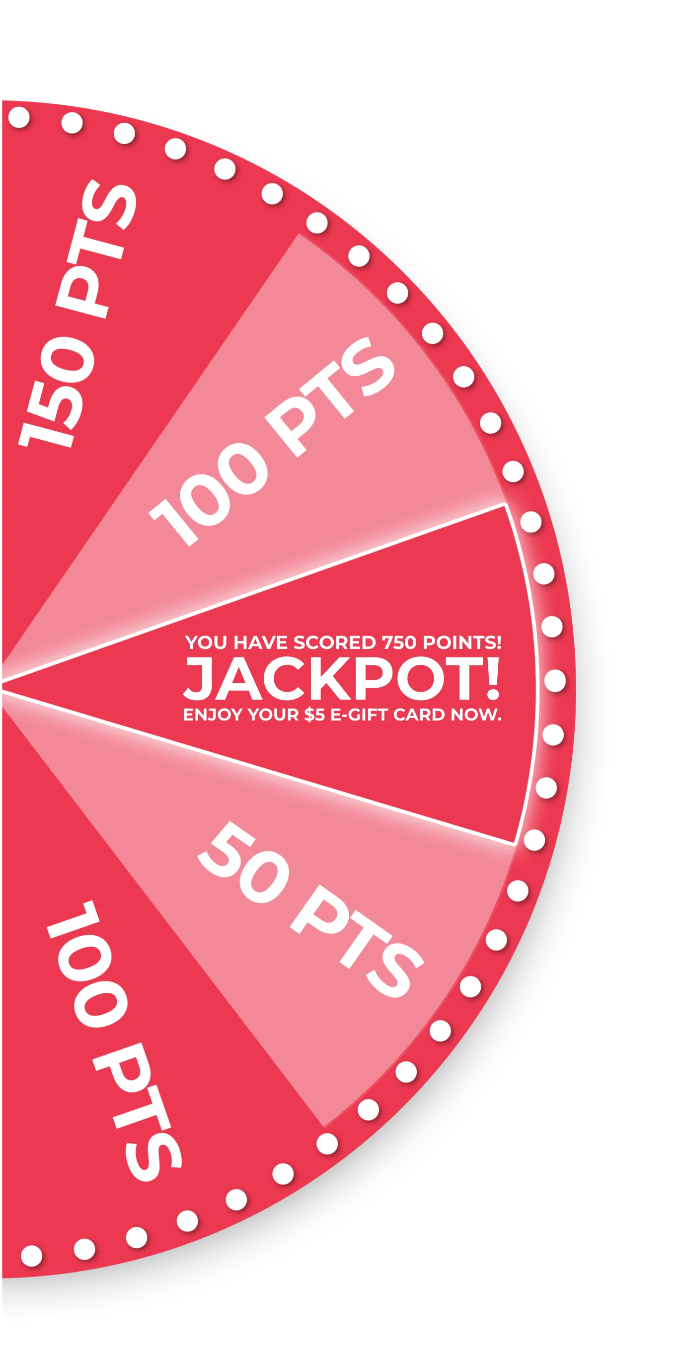 Spin The Wheel Image