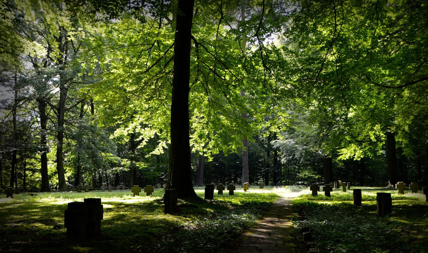 A Green Burial For an Environmentally Friendly Choice