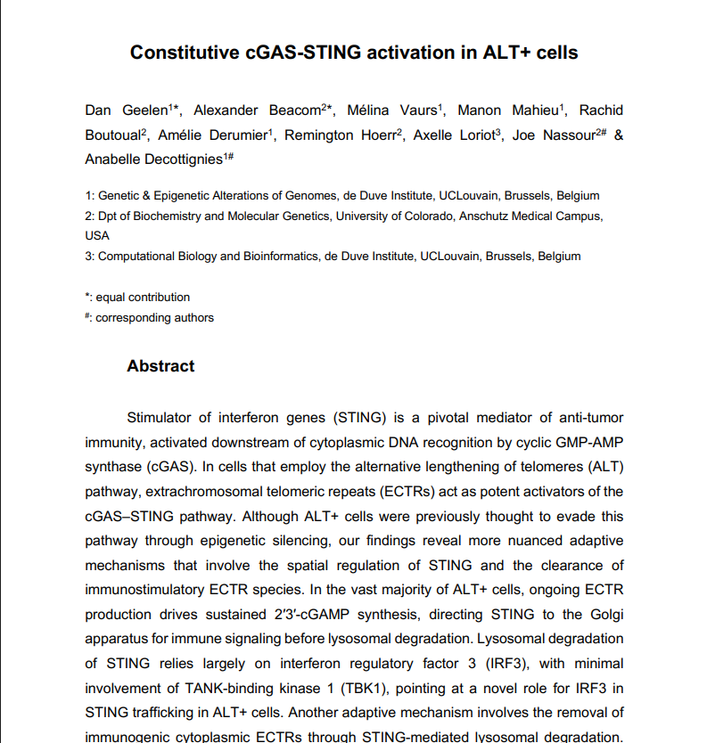 Constitutive cGAS-STING activation in ALT- cells