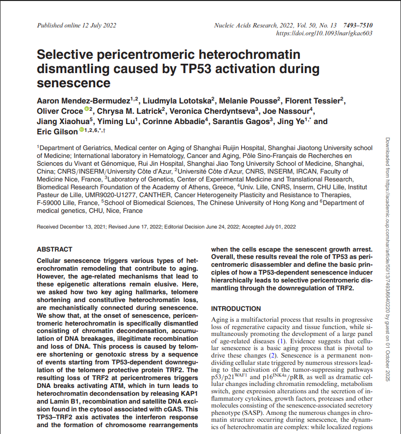 Selective pericentromeric heterochromatin dismantling caused by TP53 activation during senescence