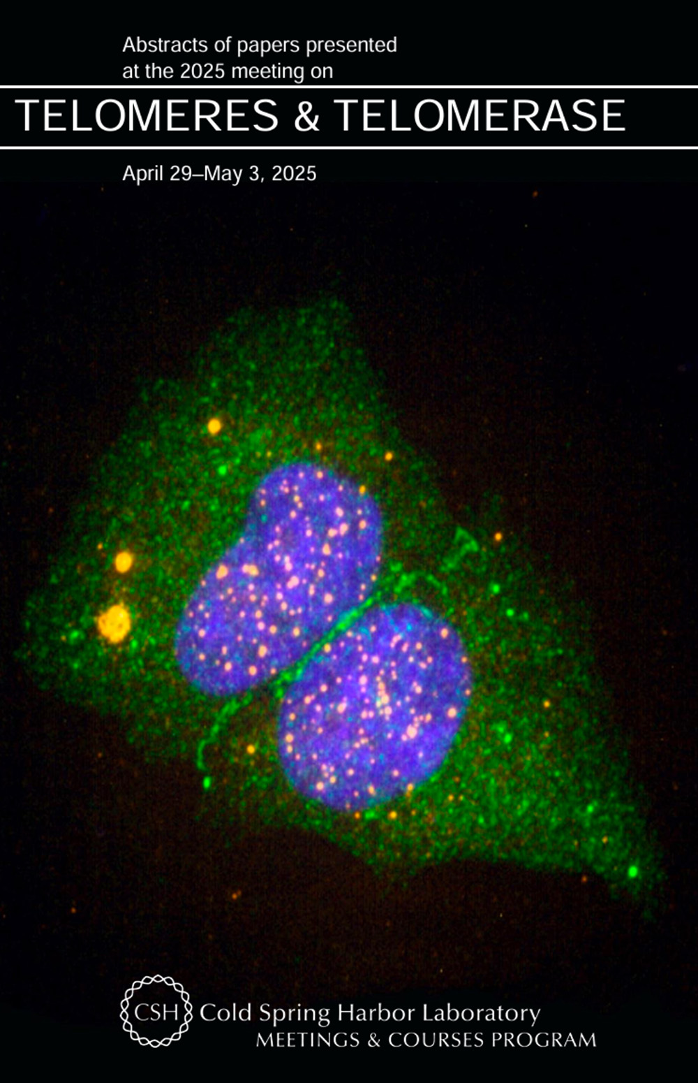 Cold Spring Harbor Telomere Meeting
