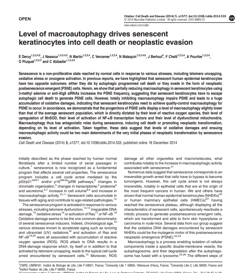 Level of macroautophagy drives senescent keratinocytes into cell death or neoplastic evasion