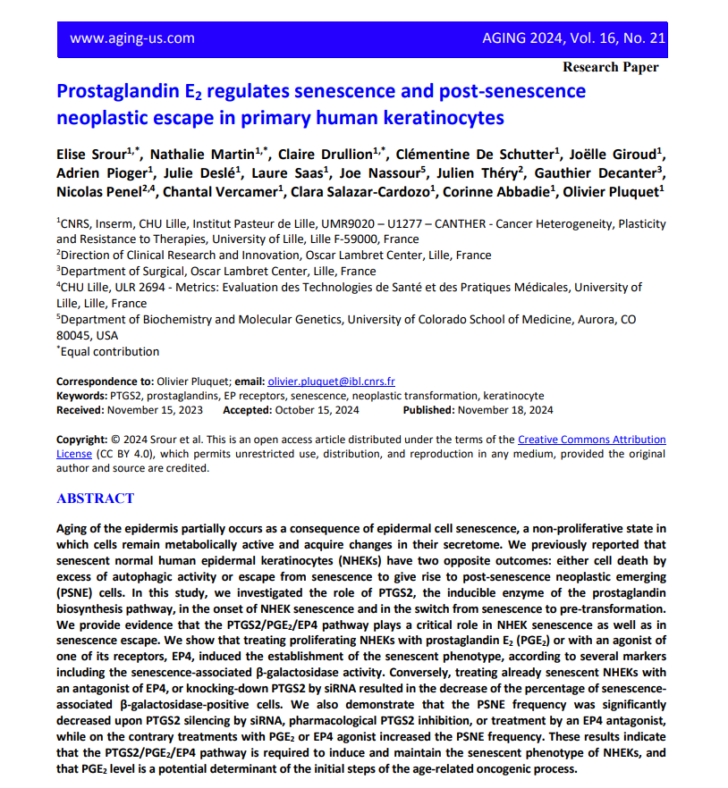Prostaglandin E2 regulates senescence and post-senescence neoplastic escape in primary human keratinocytes