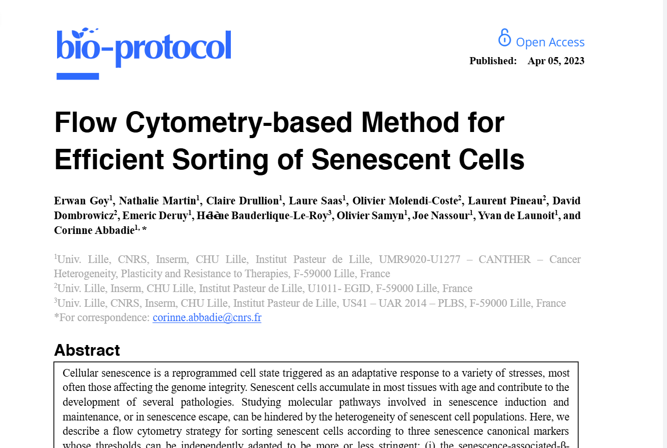 Flow Cytometry-based Method for Efficient Sorting of Senescent Cells