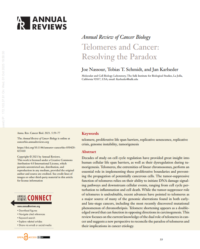Telomeres and Cancer: Resolving the Paradox