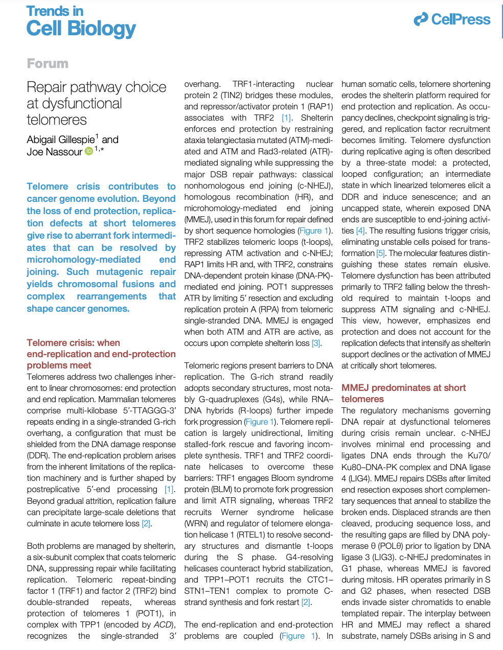 Repair pathway choice at dysfunctional telomeres