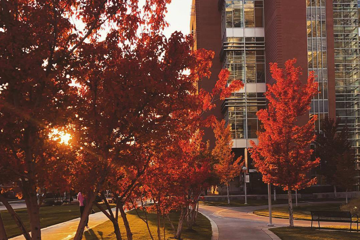 Anschutz Medical Campus