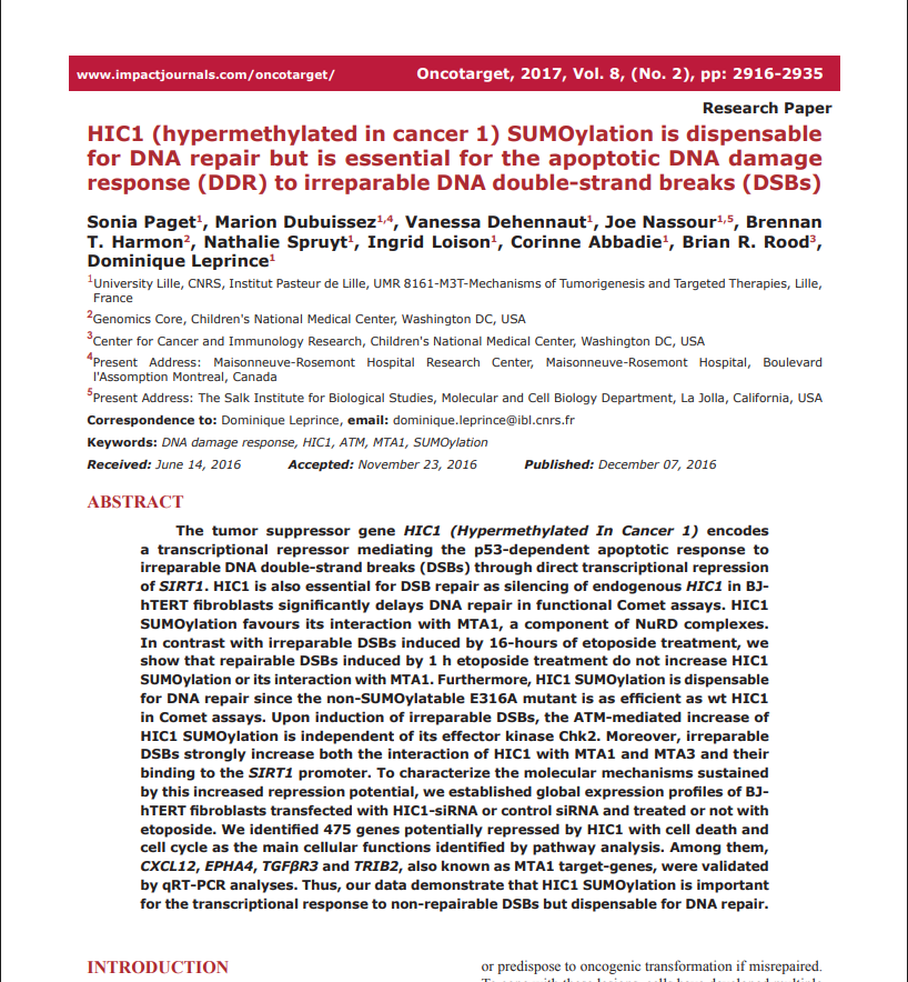 HIC1 (hypermethylated in cancer 1) SUMOylation is dispensable for DNA repair but is essential for the apoptotic DNA damage response (DDR) to irreparable DNA double-strand breaks (DSBs)
