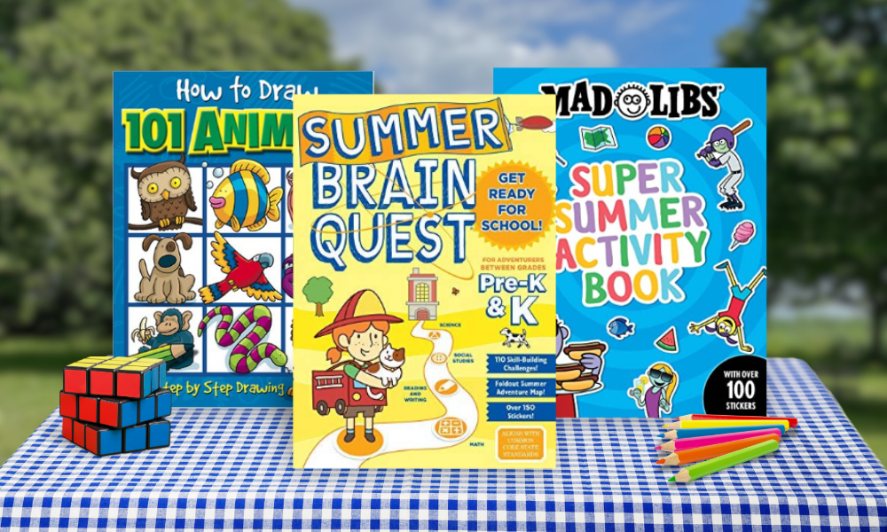 3 Books standing up on a picnic blanket: How to Draw 101 Animals by Imagine That Publishing, Summer Brain Quest by Workman Publishing Company and Super Summer Activity Book by Gabriella DeGennaro