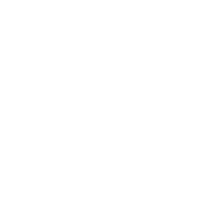 logo_VISION_AI