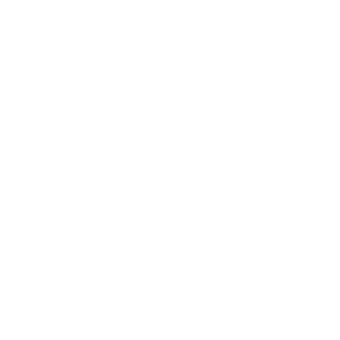 logo_VISION_AI