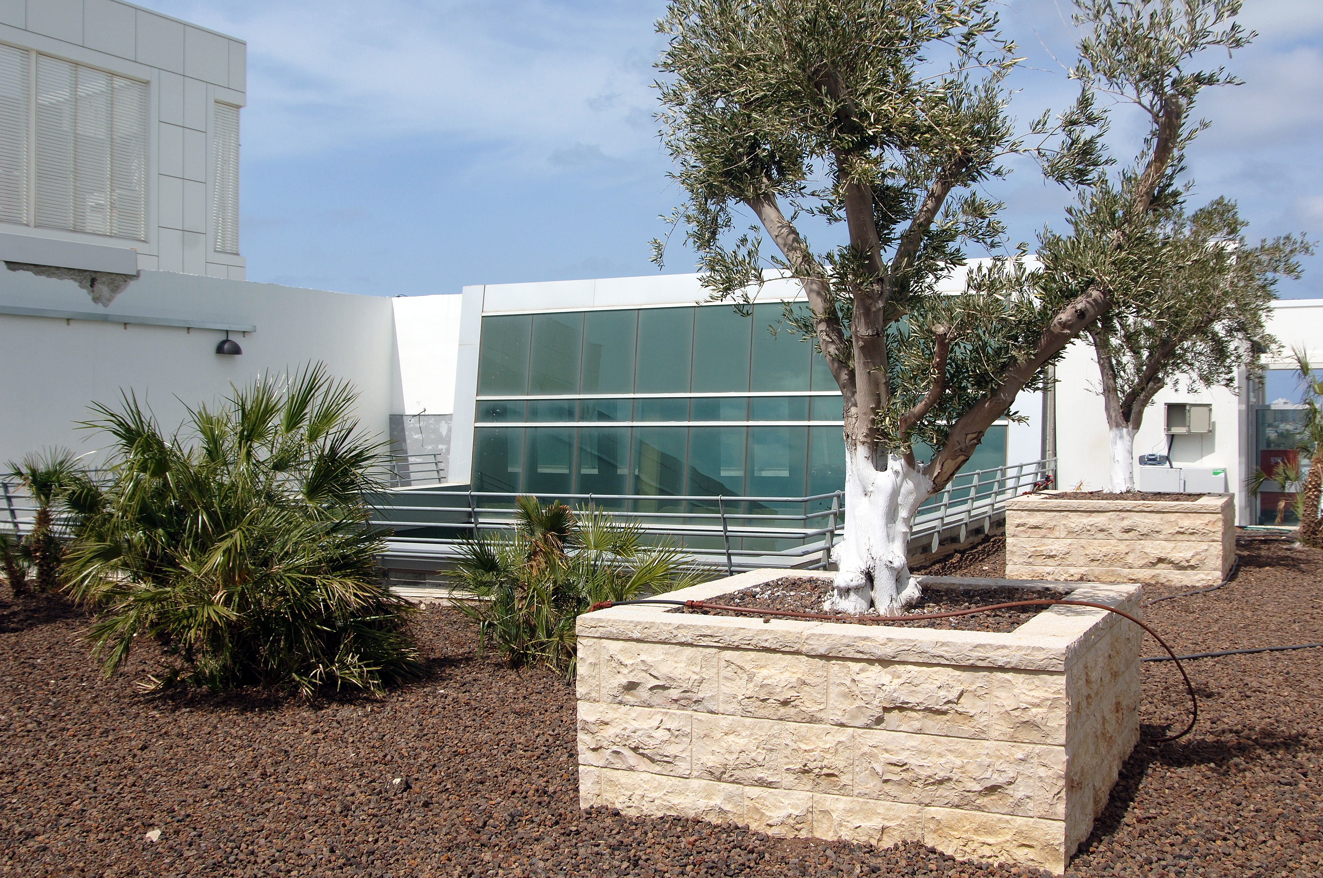 The rooftop garden provided enough thermal insulation to lower the building's heat load by 17 cooling tons.