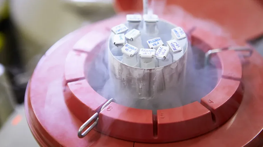 A red container of stored vials.