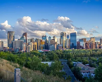 A distant view of skyscrapers in a city with trees.