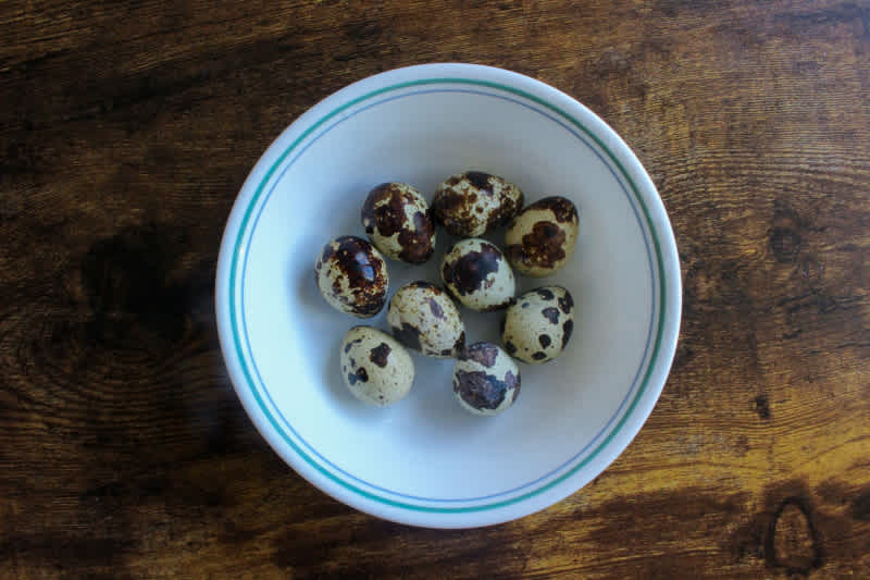 Quail eggs