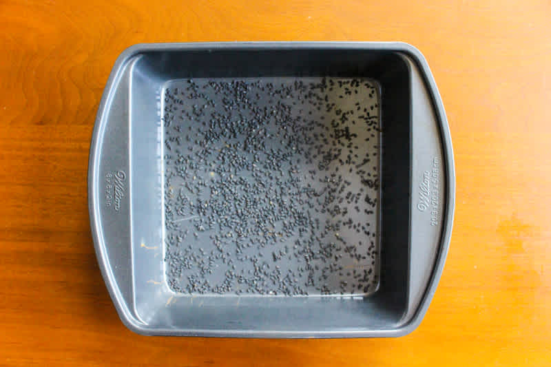 Sesame seeds in baking pan