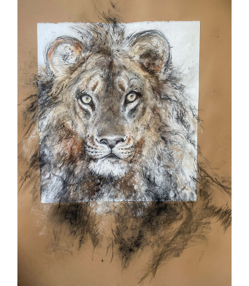 dessin-aquarelle-grand-lion-rebottaro-3