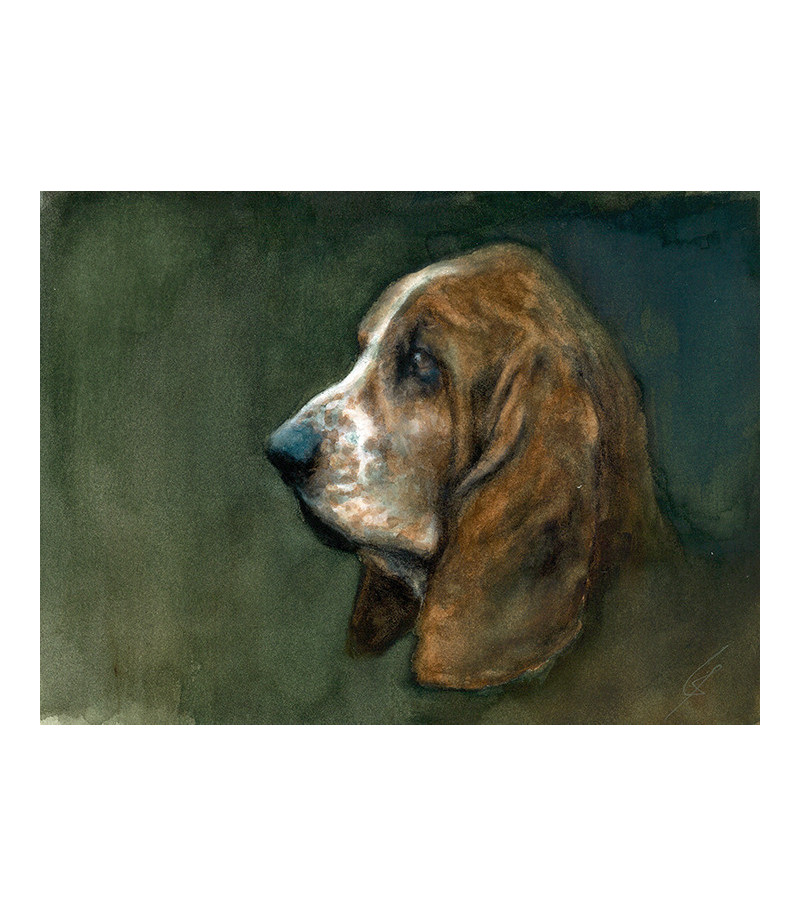 peinture-aquarelle-basset-hound-ly