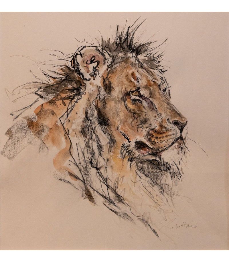 dessin-aquarelle-lion-4-rebottaro