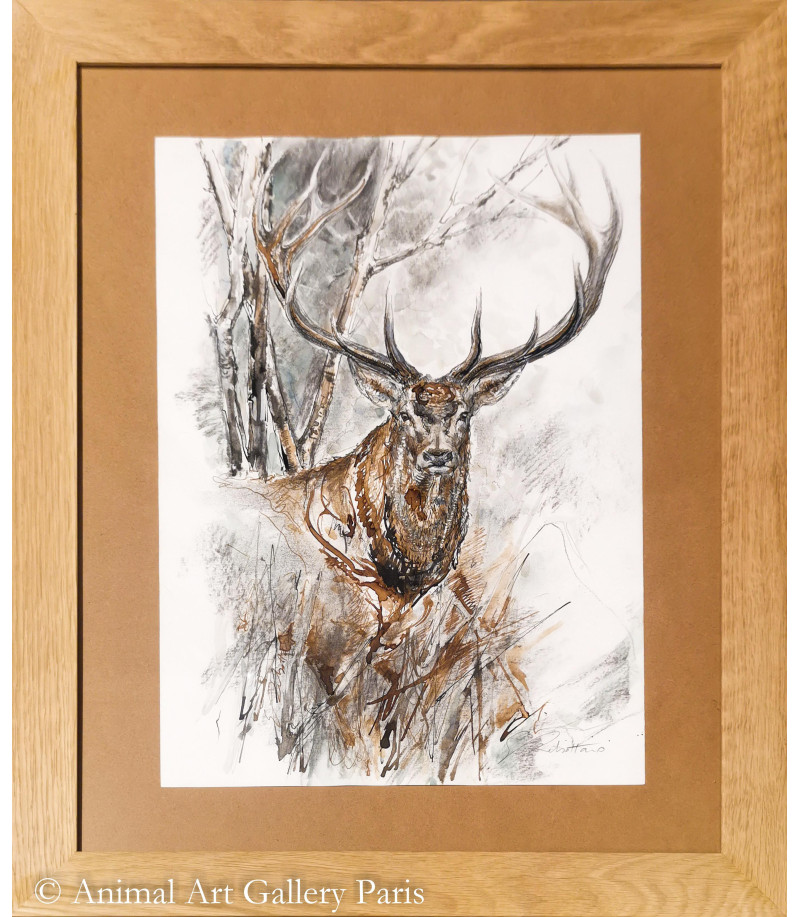 dessin-aquarelle-cerf-rebottaro-3