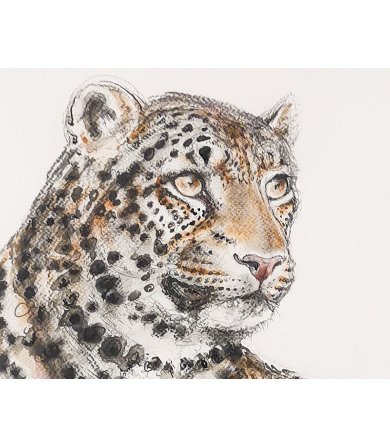 dessin-aquarelle-leopard-rebottaro