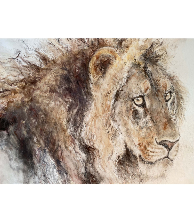 dessin-aquarelle-lion-rebottaro