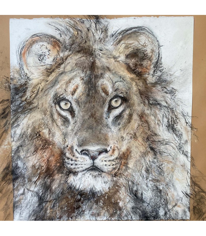 dessin-aquarelle-grand-lion-rebottaro-2