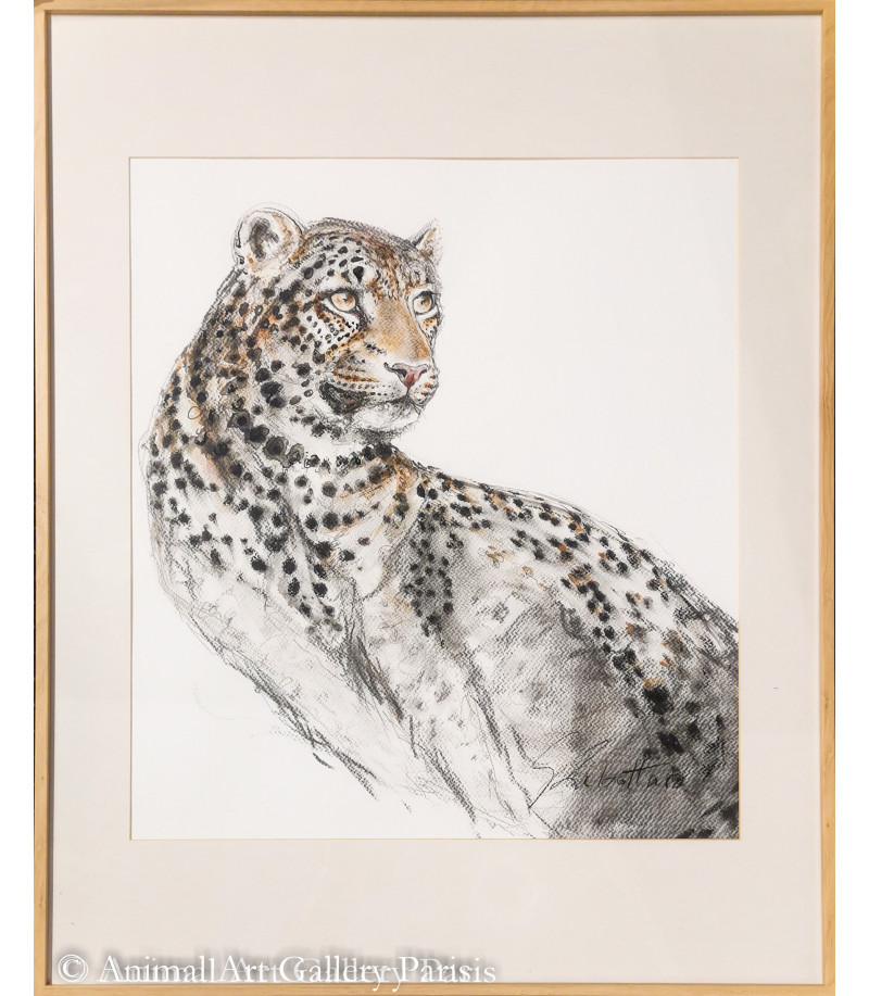 dessin-aquarelle-leopard-rebottaro-3