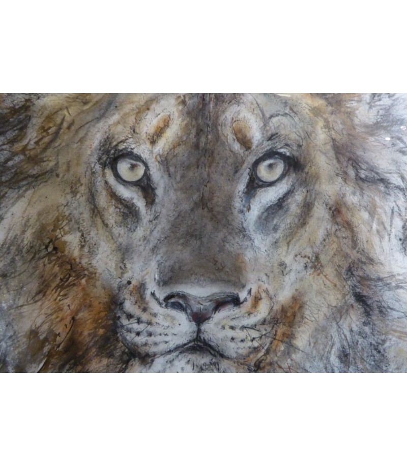 dessin-aquarelle-grand-lion-rebottaro