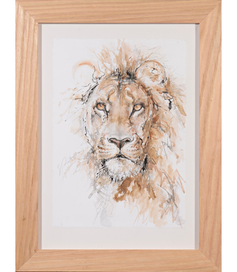 dessin-aquarelle-lion-1-rebottaro