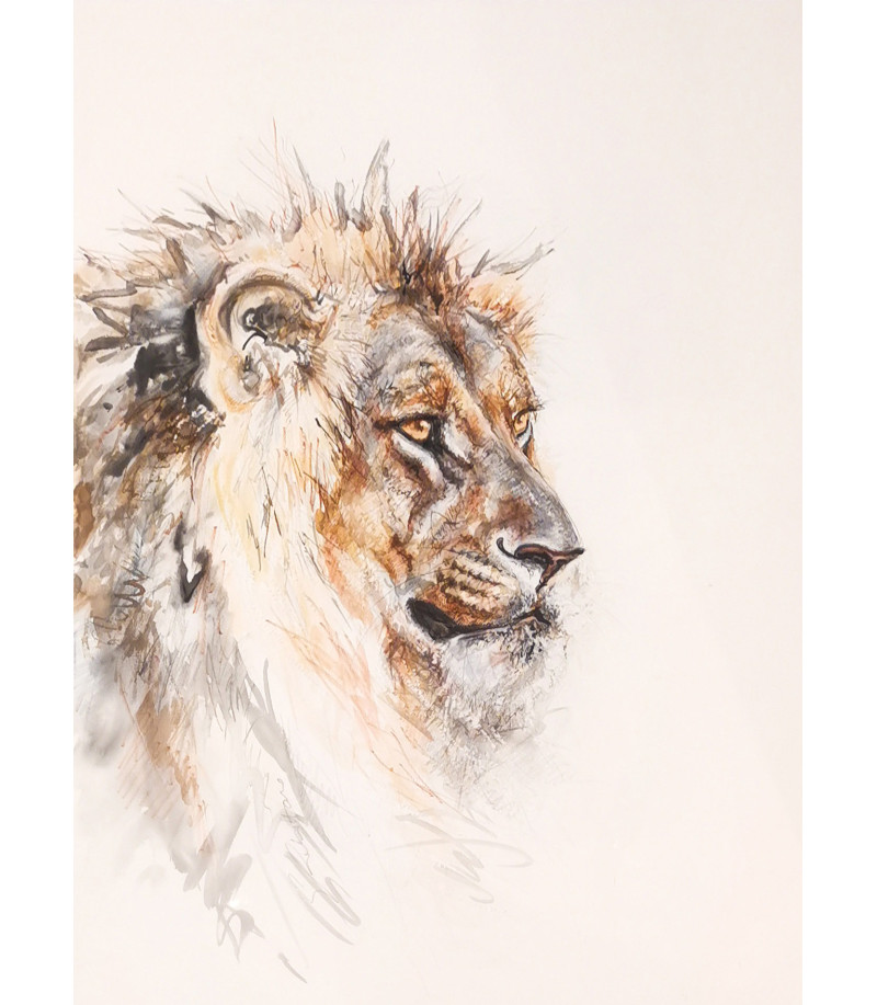 dessin-aquarelle-lion-5-rebottaro