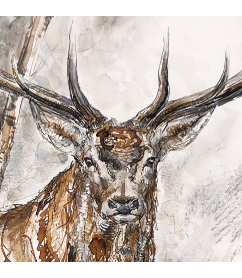 dessin-aquarelle-cerf-rebottaro-2